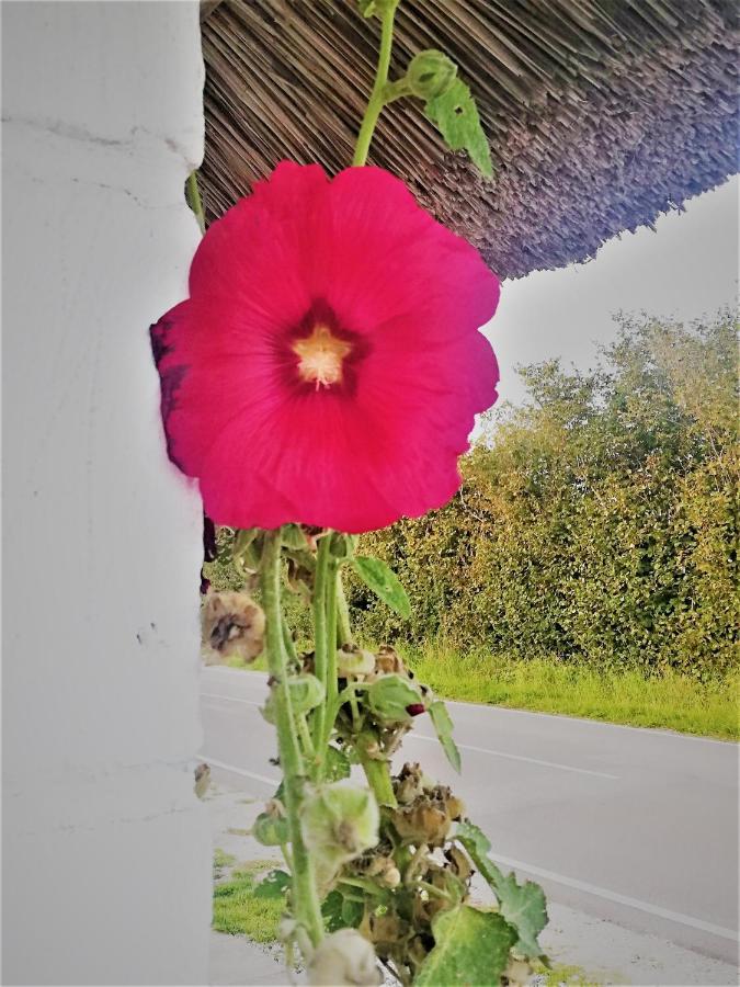 The Whispering Apple Garden Retreat Apartman Morud Kültér fotó